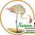 Nature Mauritanie (@naturemaurit) Twitter profile photo