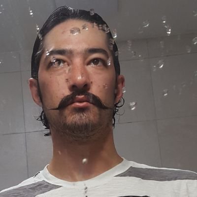 ByrdsDontTweet's profile picture. 