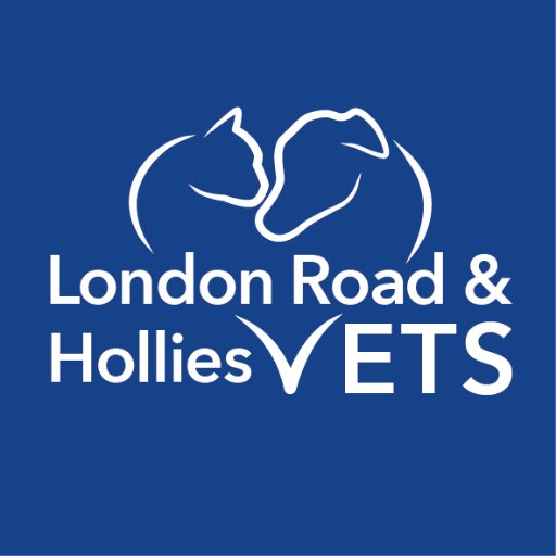 London Road Veterinary Centre Kings Lynn and The Hollies Veterinary Clinic Downham Market
KL: 01553 773168
DM: 01366 386655