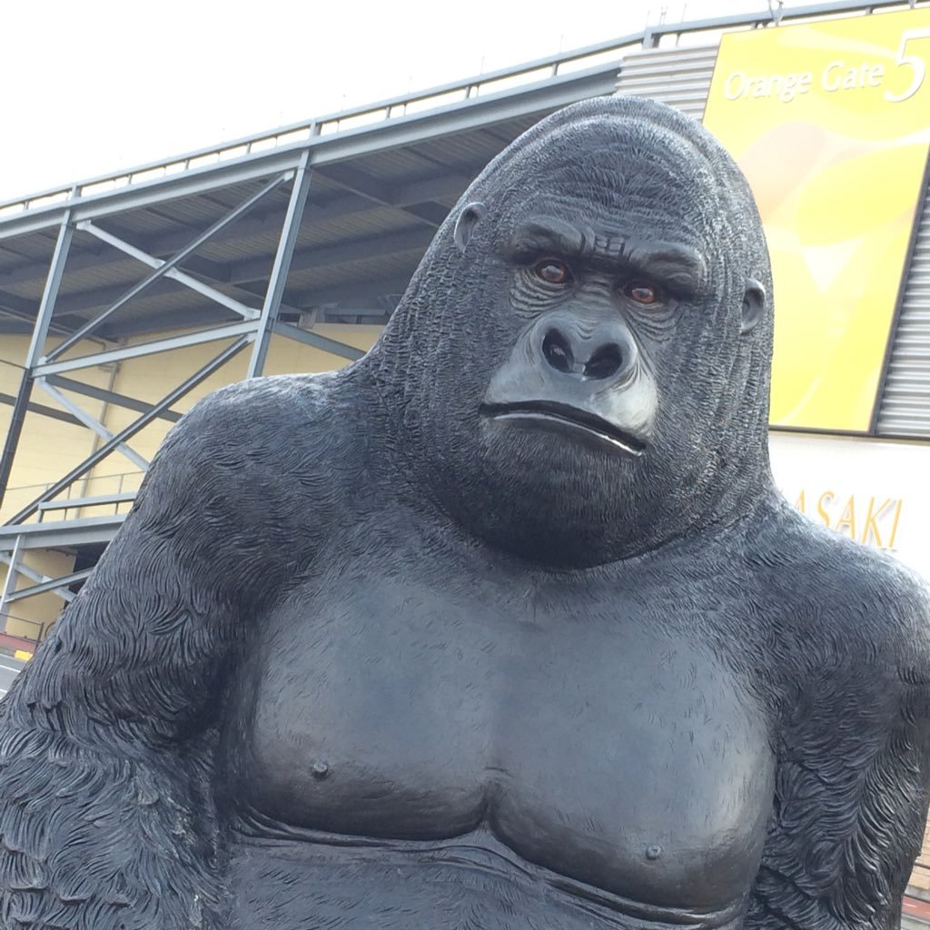 🦍さんのプロフィール画像