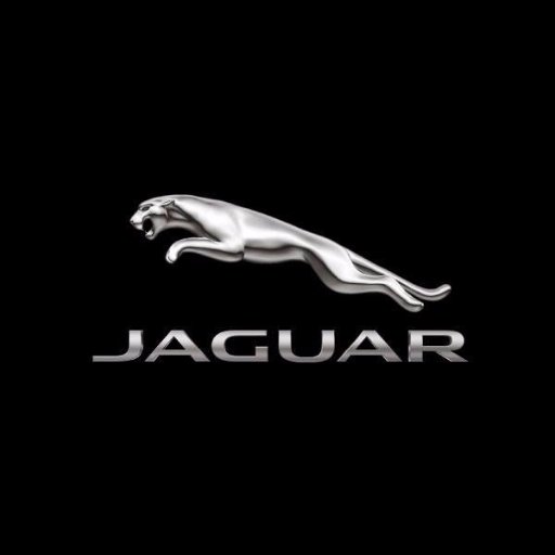 tc_jaguar_ Profile Picture