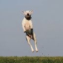 Darren Keen - @DazKeeno - Twitter