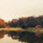 cheekwoodgolf's profile image