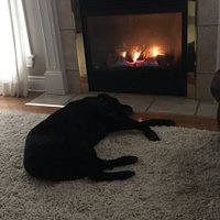 JC (@cup_is_imminent) 's Twitter Profile