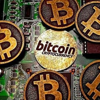 Tremaynegoldst1's profile picture. Bitcoin is the FUTURE!