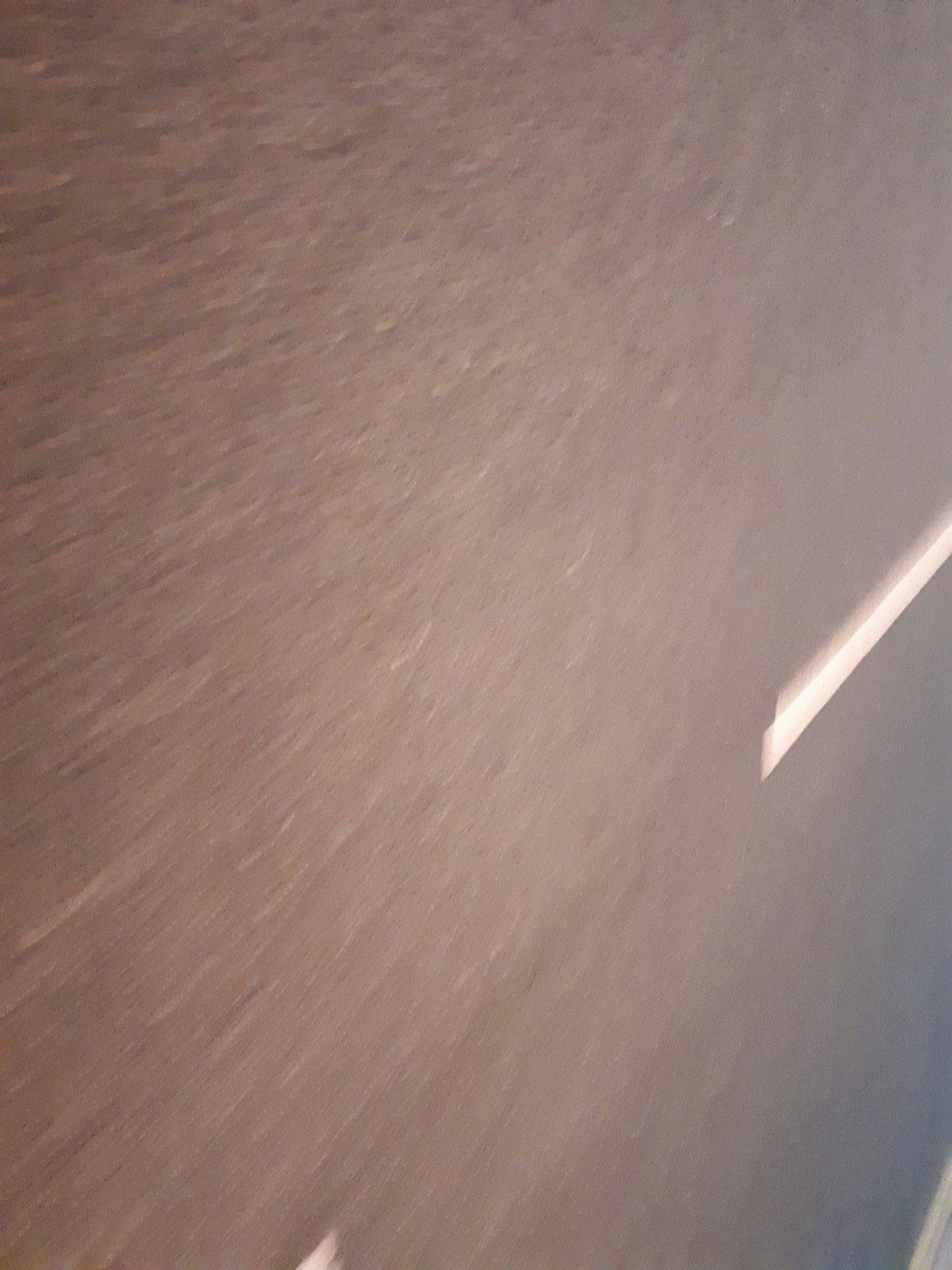 Null9926364732's profile picture. 