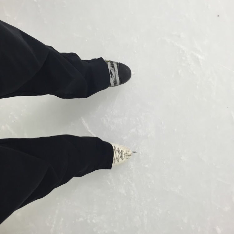 Hockey Skating Specialist.            Mastered Rated Figure Skating Coach