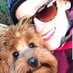 Laura Robertson (@laura29490) Twitter profile photo Laura Robertson (@laura29490) Twitter profile photo