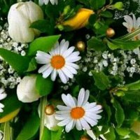 Aziz Abdu (@azizabdu5) 's Twitter Profile