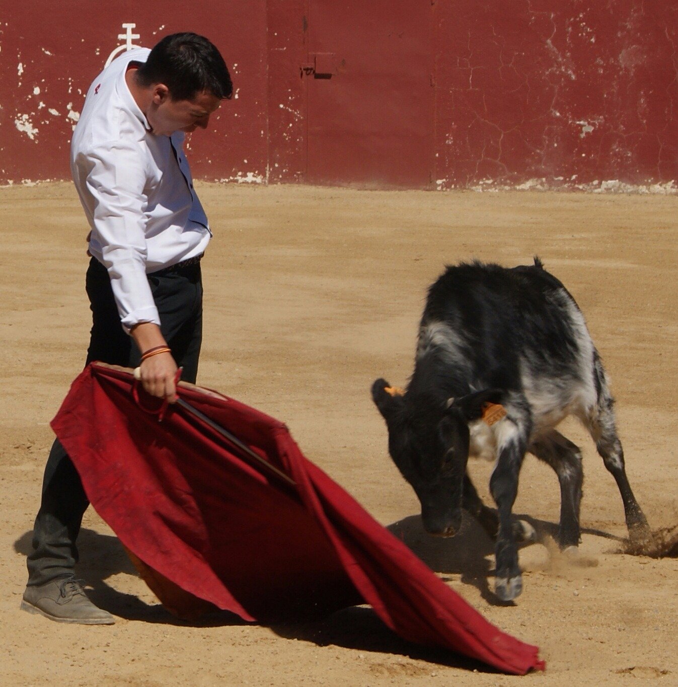 raul_cain's profile picture. 