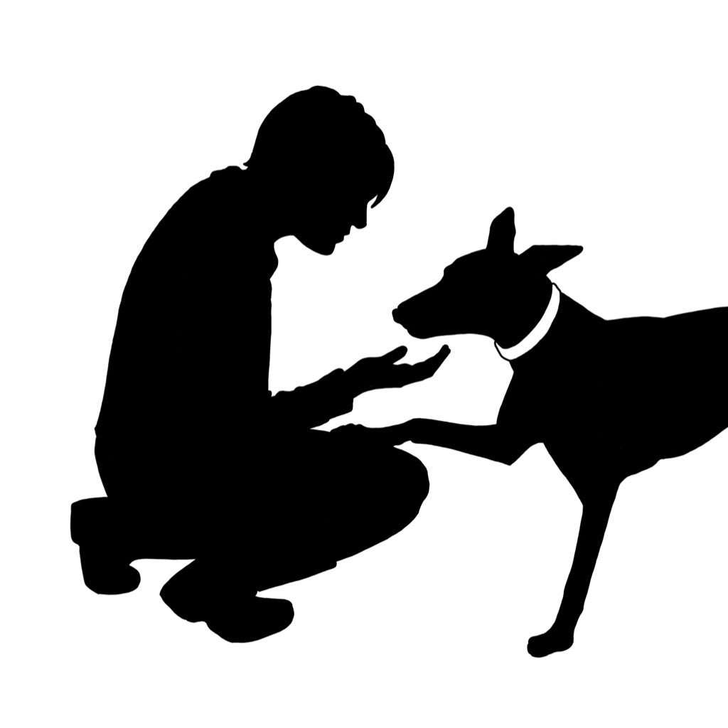 Dog training in SE London or on Zoom, accredited by APDT, registered ABTC Animal Training Instructor. No mask, no lesson.