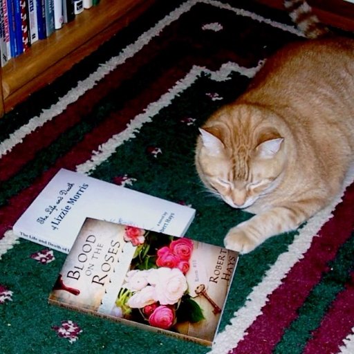Author. Three-time Pushcart Prize nominee. Newest novel: 'An Inchworm Takes Wing.' Newest non-fiction: 'Patton's Oracle: Gen. Oscar Koch, as I Knew Him.'
