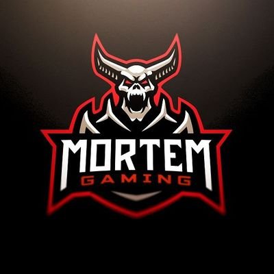 Counter-Strike Gaming Team