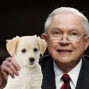 Jeff Sessions' Puppy - @JeffsPuppy - Twitter