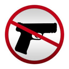 Isabellaiolana's profile picture. American citizens are not safer with guns. Over 11,000 people are killed from shootings every single year.