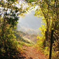 Gary Watson (@garywatson8763) 's Twitter Profile Photo