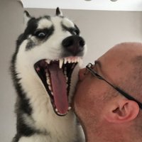 Simon Finglas (@simonfinglas) 's Twitter Profile Photo