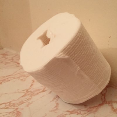 TPUnderOrOver's profile picture. We seek to answer the eternally vexing question: “Should toilet paper hang over or under?”