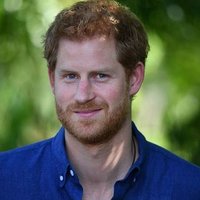 Prince Harry Albert