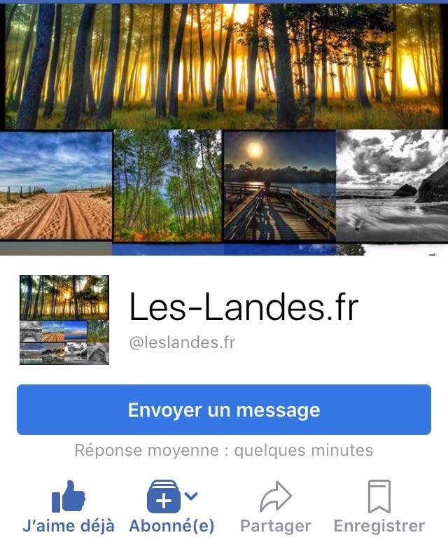 Photographies & Paysages des Landes