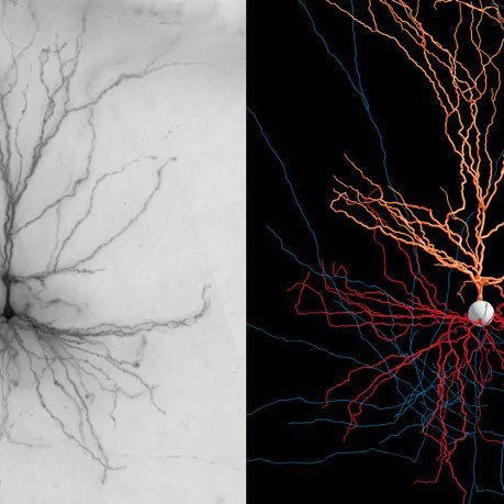 EcosLogos's profile picture. #Environmentally #Friendly #Lifestyle