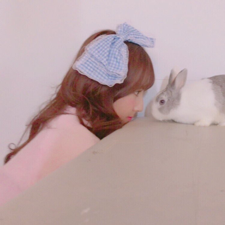 Vリーグにハマってます