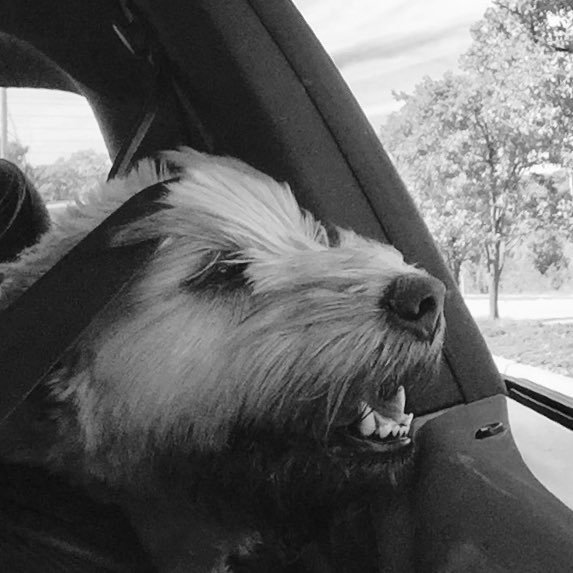 linneburann2's profile picture. 