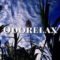 Odorelax Channel (@odorelax_ch) 's Twitter Profile