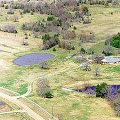 Information about ranches, farms and other agricultural properties for sale in Texas