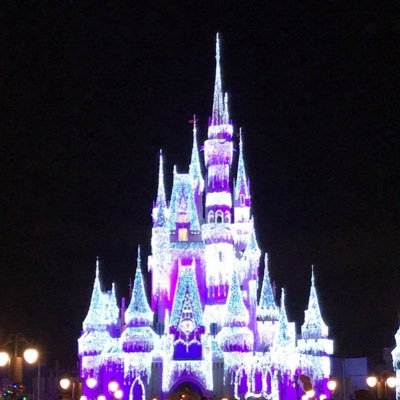A fun, free-spirited way to engage in all the trivia, anecdotes, advice and observations relating to everything Disney that you can handle!