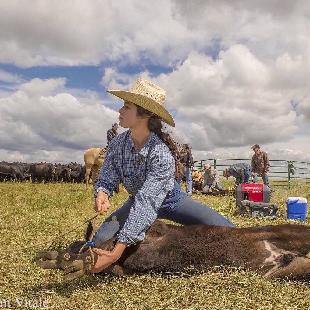 Anya_Gandy's profile picture. OR, TX, OK Ranch 🔀 Cornell ➡️ MT, OR Ranch ➡️Aussie Station ➡️ NZ Station ➡️ Cornell 🔀 @Google