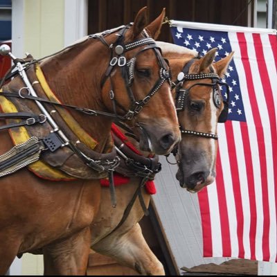 I am a mama first ❤. Born & raised country girl, it's in my blood. I ❤ my Draft horses,family, cooking, & saving $. I’m a Deal Seeker & will save you 💲💲.