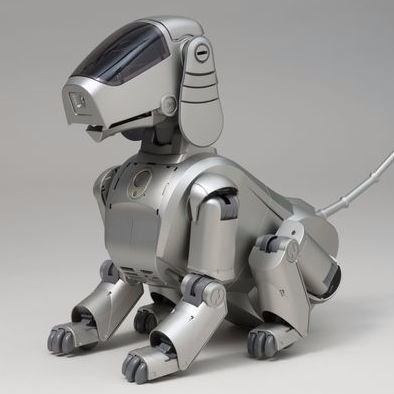 犬型ロボット Yakoroquai Twitter