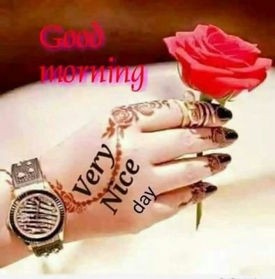 Thivager5's profile picture. All is well