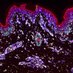 UCL MBPhD (@ucl_mbphd) Twitter profile photo UCL MBPhD (@ucl_mbphd) Twitter profile photo