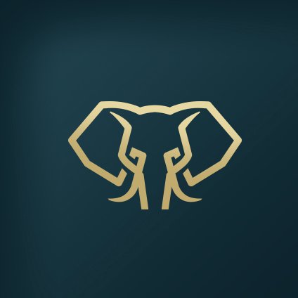 ElephateSEO Profile Picture