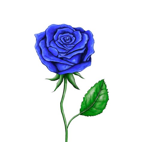 tenkiiiiiii's profile picture. 東京に住む熊本の民