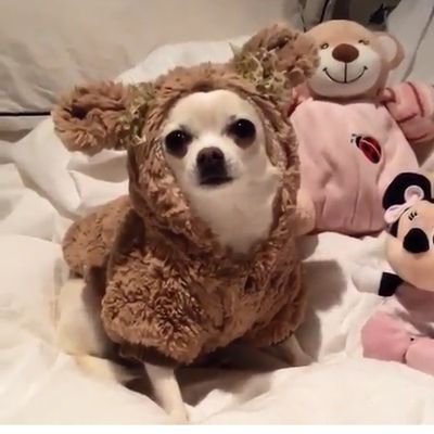 aoaDNGmRG8phpcV's profile picture. Twitter初心者😂