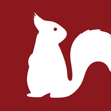 Saving Scotland's Red Squirrels Profile