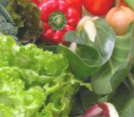 Nutrition4Good's profile picture. Our purpose is to find the root cause of your health problem, and for you to be shown how you can get your body back into balance.