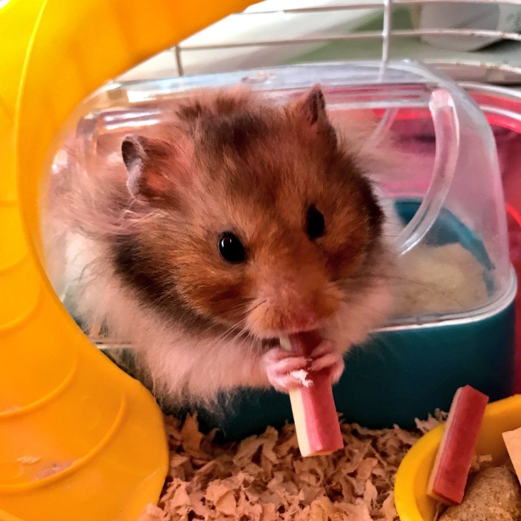 eemono2's profile picture. 