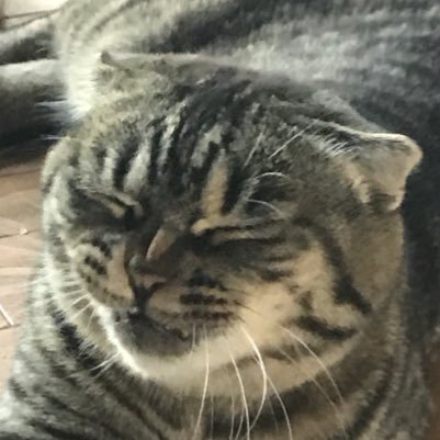 TenYuz's profile picture. 