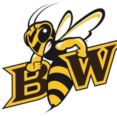 BWBoxLax's profile picture. The Official Twitter Page of the 2017 Baldwin Wallace Box Lacrosse League