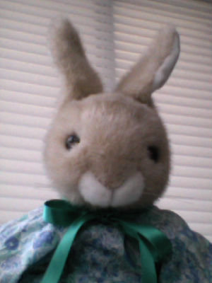 A stuffed bunny. Observations are rarely my own, but my human's, on tennis, figureskating, cycling, equestrian, golf & music (baroque, opera, Russian, French).