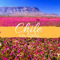 Chileentodo (@chileentodo2017) 's Twitter Profile