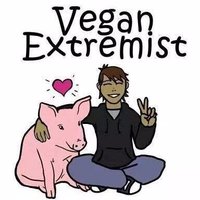 Animal Rights Vegan Ⓥ(@VeganPoet) 's Twitter Profile Photo