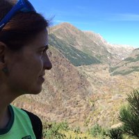 Sílvia Coll (@silviacollvi) 's Twitter Profile