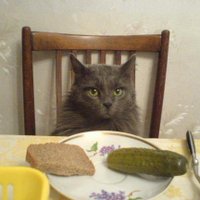 Сон разума (@sonrazyma) 's Twitter Profile Photo Сон разума (@sonrazyma) 's Twitter Profile Photo