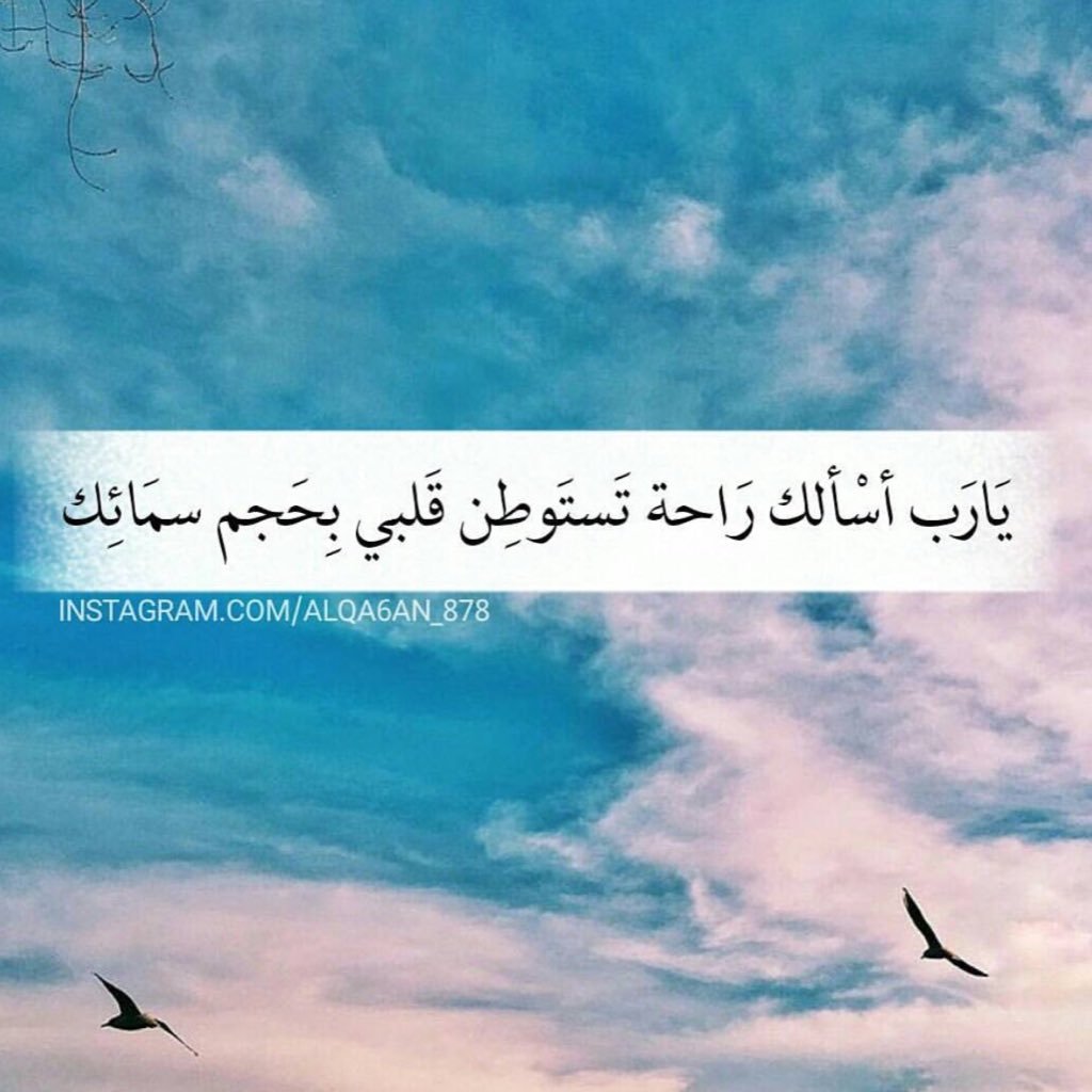 moona5200's profile picture. 