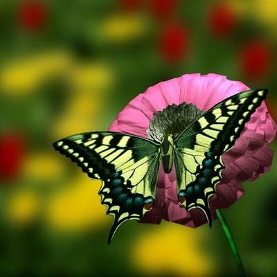 IamLee_M's profile picture. Simply God's property